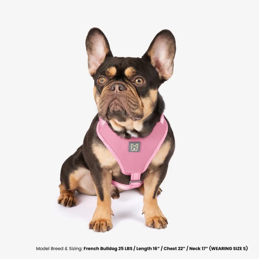 Nandog Pet Gear Neoprene Sport Dog Harness - Pink Size : M